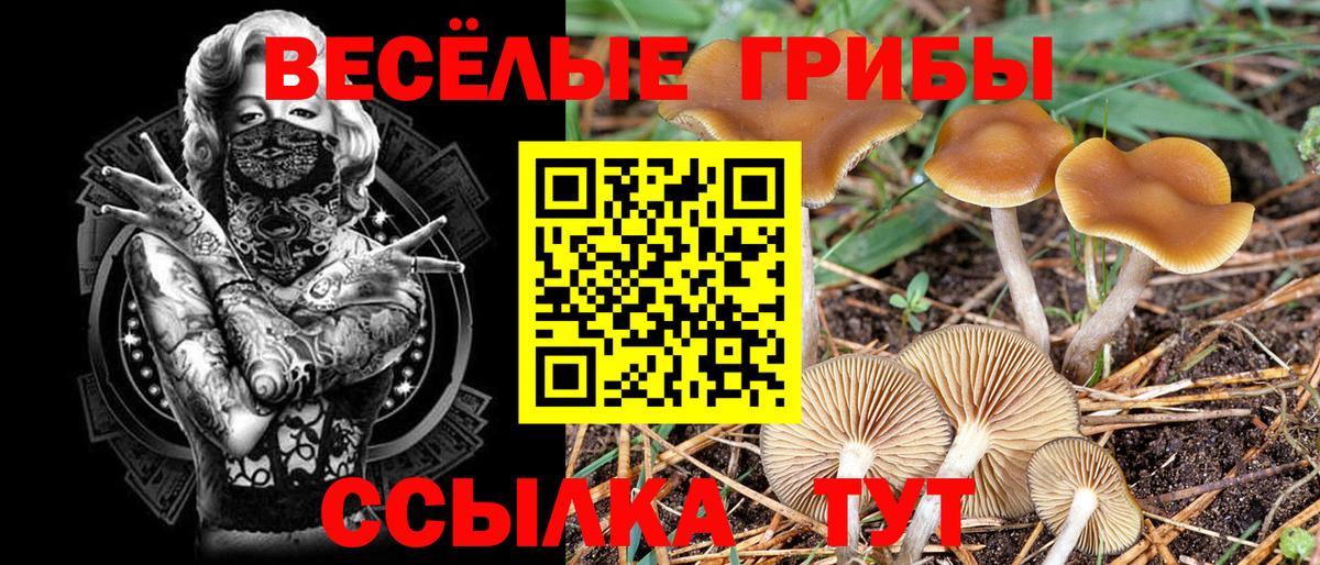 Галлюциногенные грибы Psilocybine cubensis  Галлюциногенные грибы GOLDEN TEACHER  Дербент  Вход с VPN 
