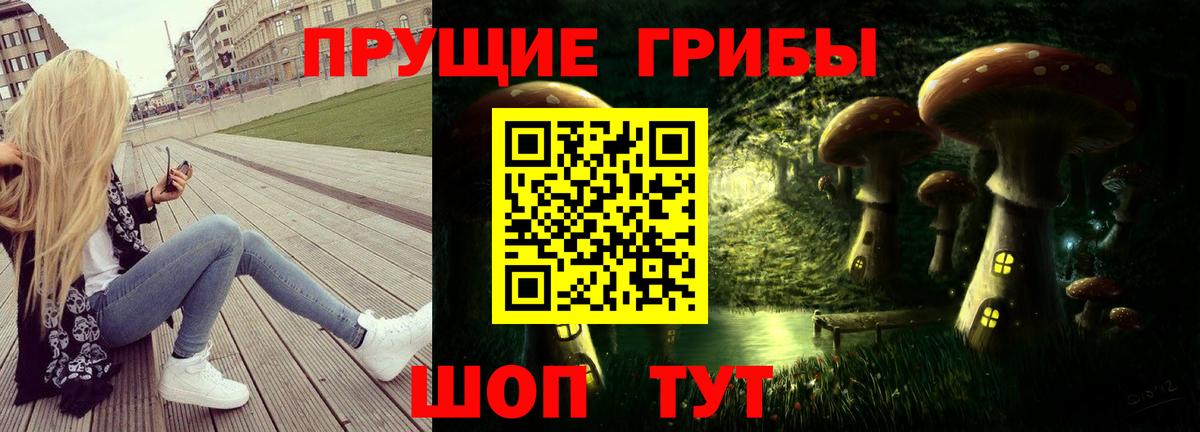Галлюциногенные грибы прущие грибы Дербент